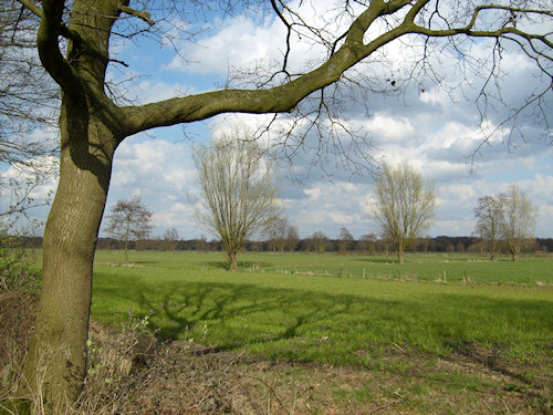 landschap